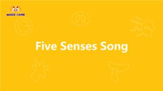 幼儿园教学课件动画视频-Five Senses Song