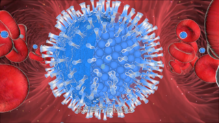 免疫细胞疫苗药理作用机制-医学3d动画演示