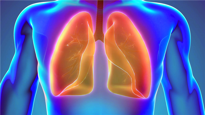 医学3D动画演示-人体肺器官