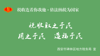 西安个人所得税缴纳流程软件宣传动画